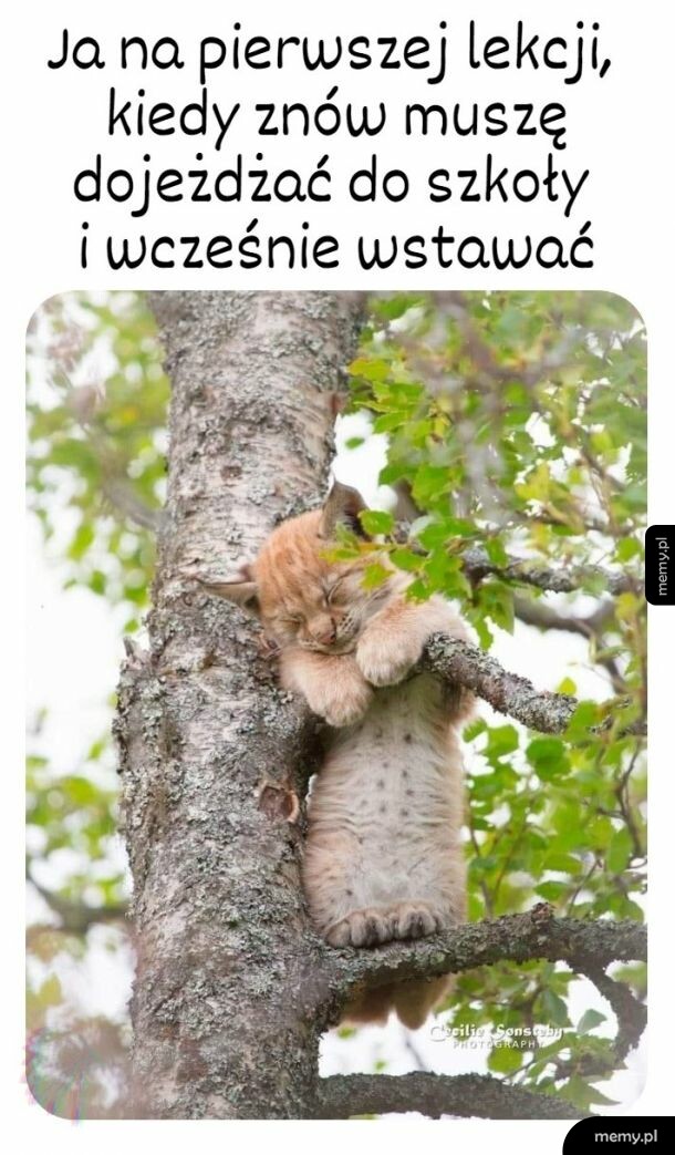 Tęsknię za piżamką przez pół dnia