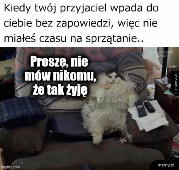 Niezapowiedziana wizyta