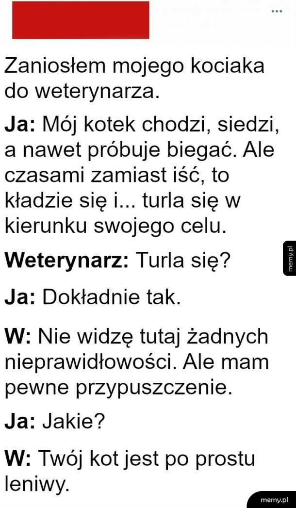 Prosta diagnoza