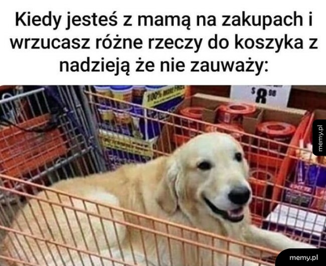 Kiedy jesteś z mamą na zakupach