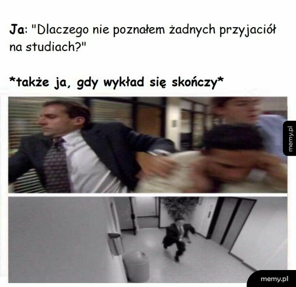 Prawda XD