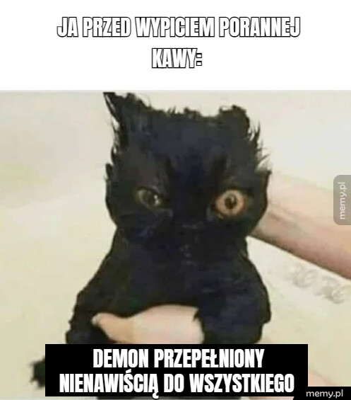 Tak jest
