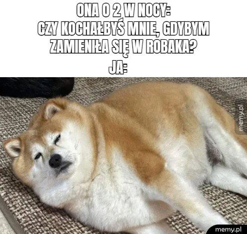 Nocne rozkminy