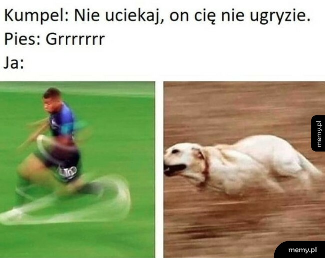 Ja wiem swoje