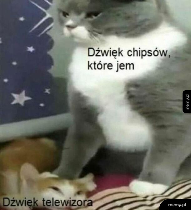 Zawsze