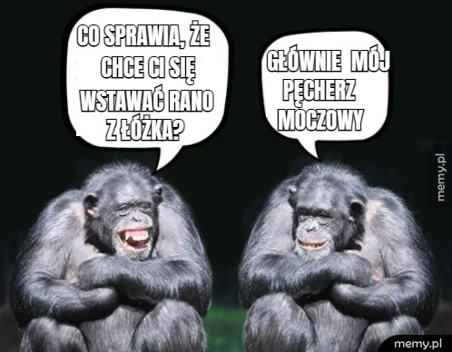 Motywacja do wstawania