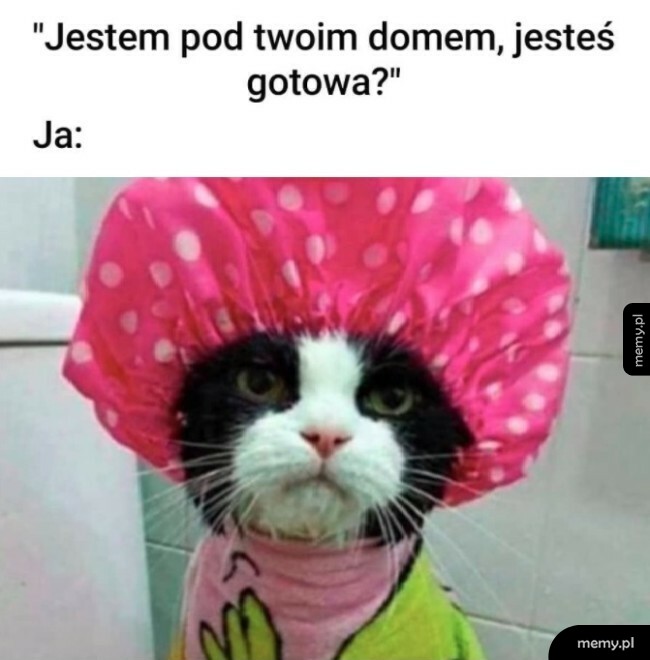 No prawie