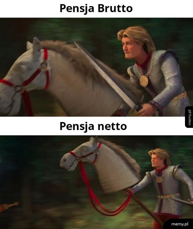 Brutto i Netto