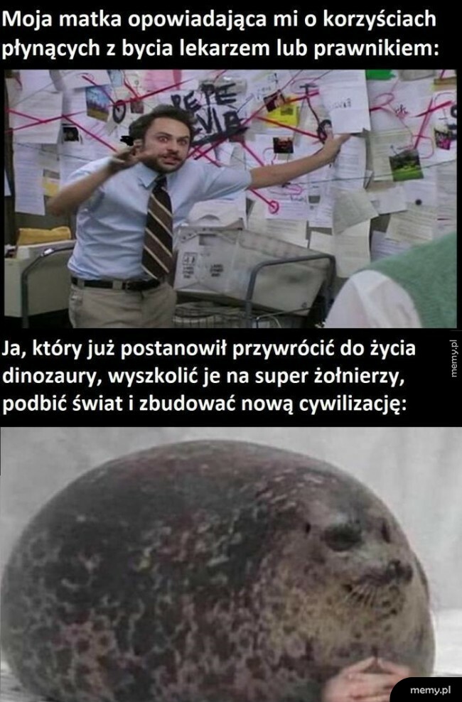 Mam już swoje plany