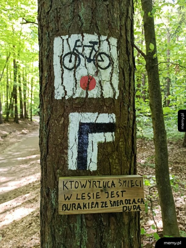 Znalezione w lesie