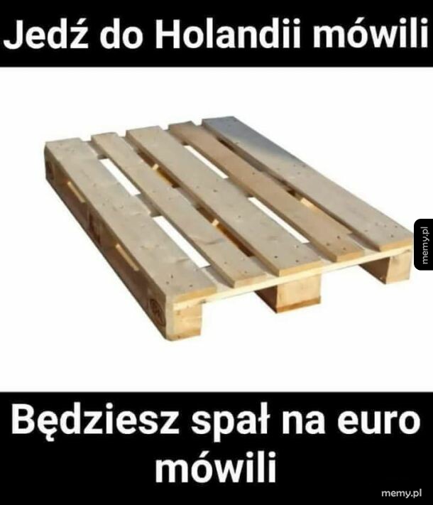 Mieli racje