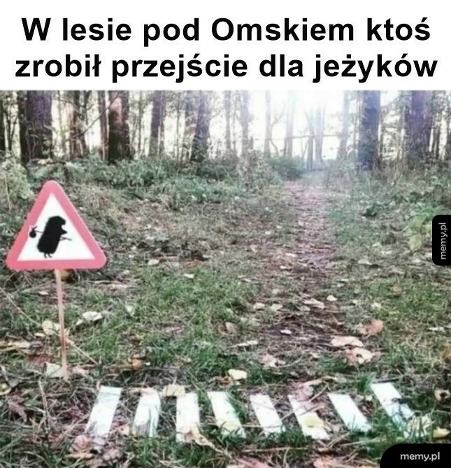 Przejście dla jeżyków