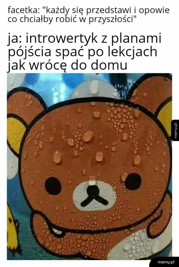 Plan jest prosty