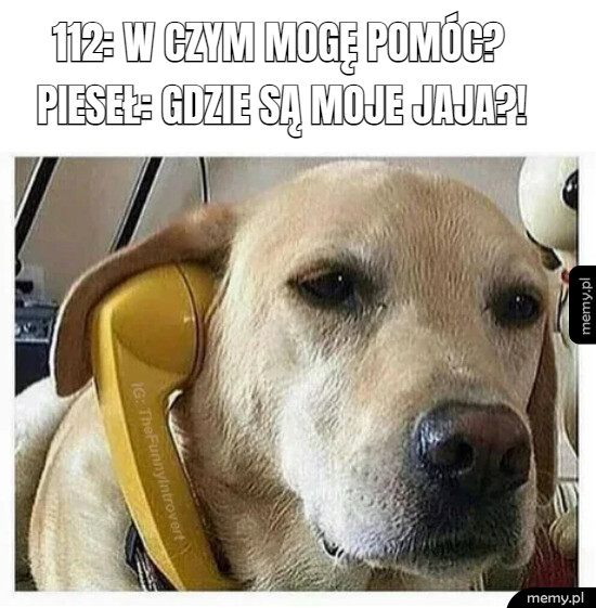 Help