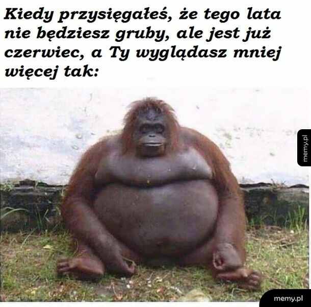 Może za rok