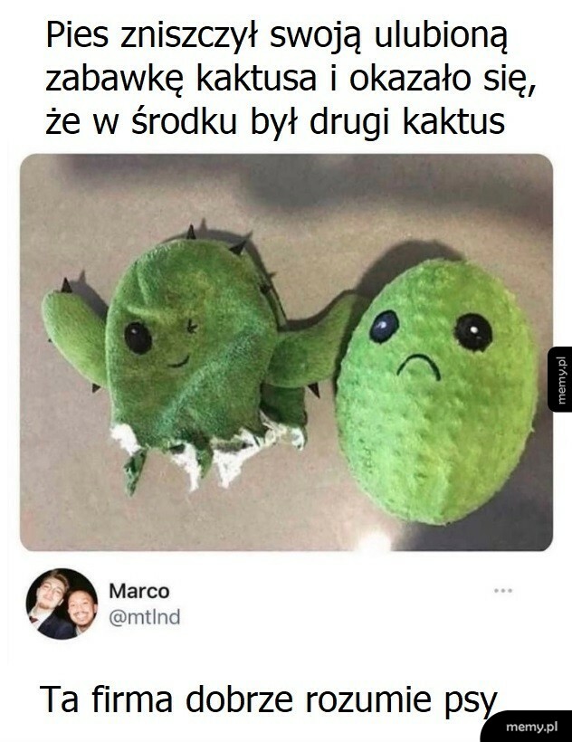 Psia zabawka