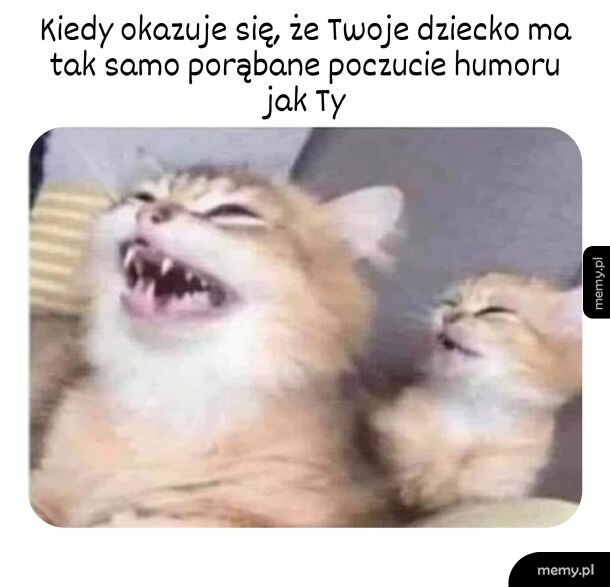 I możecie razem porechotać (ku zgrozie otoczenia)