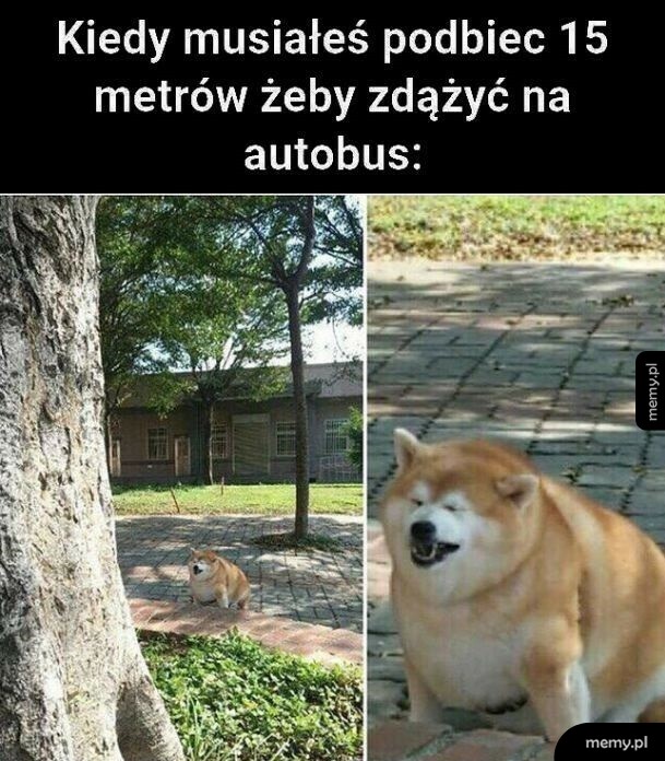 Męczący bieg