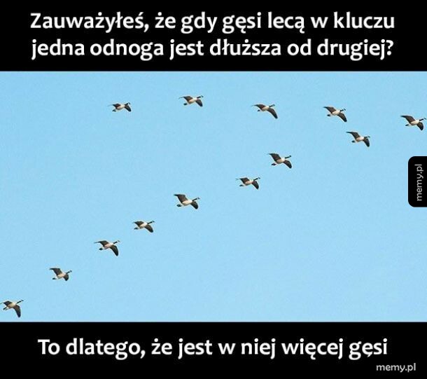 Klucz
