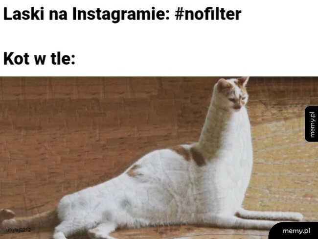 Nofilter