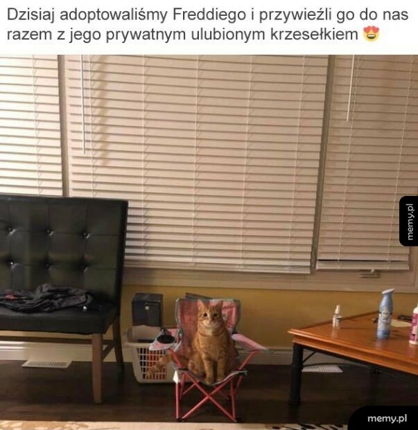 Ulubione krzesełko