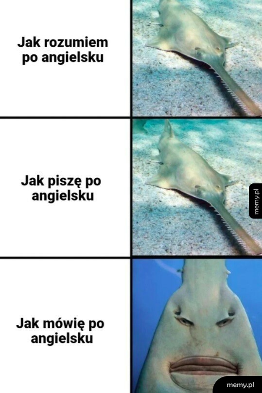 Angielski