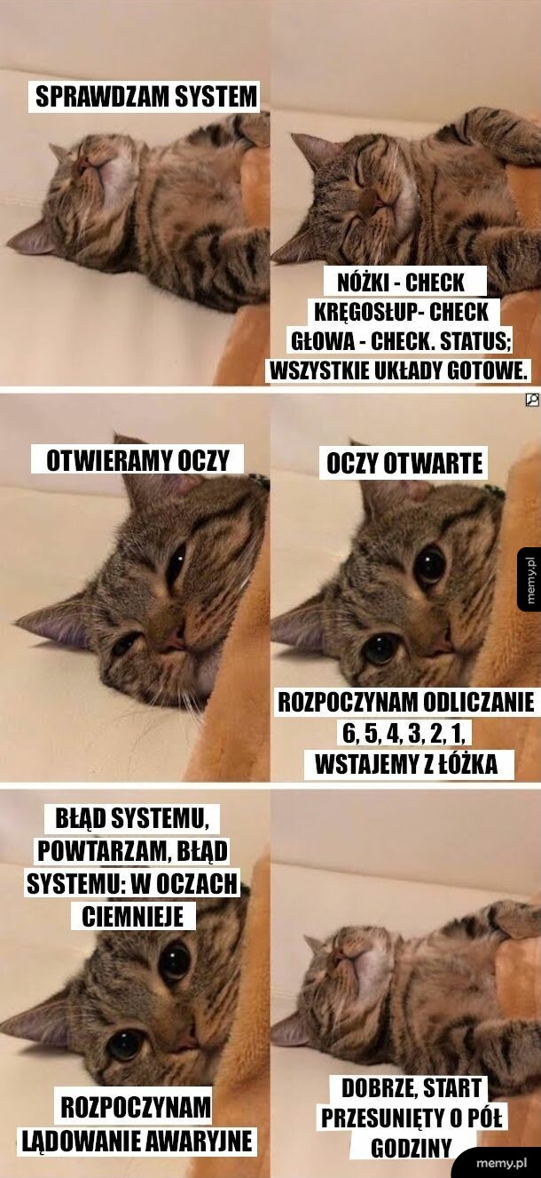 Względy bezpieczeństwa przytulności i milutkości