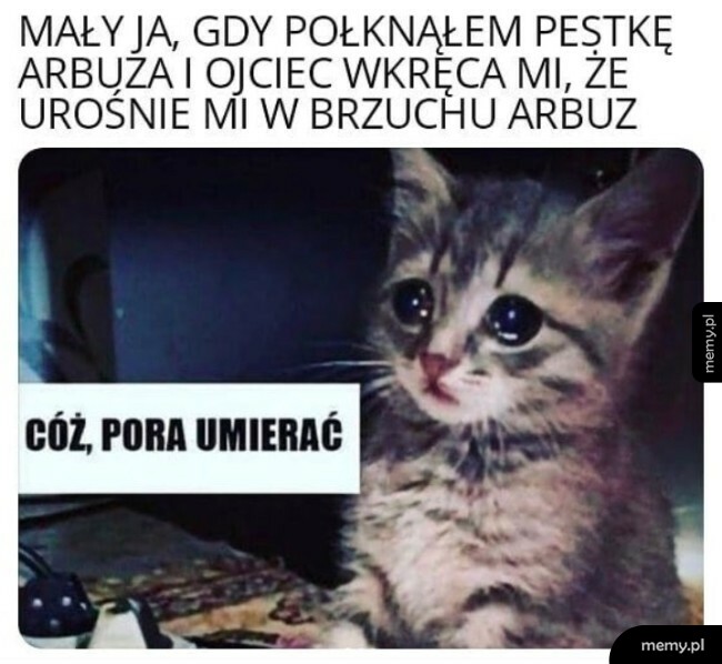 Pestka arbuza