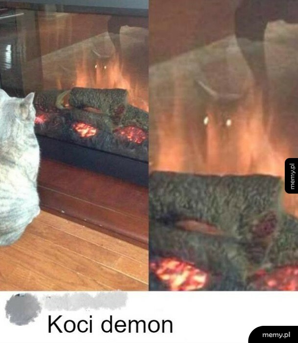 Koci demon