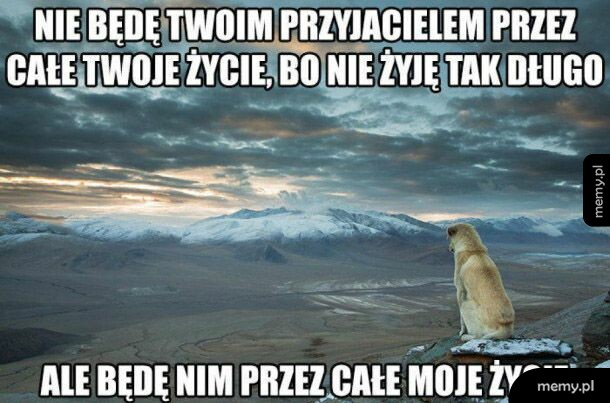 Najlepszy przyjaciel