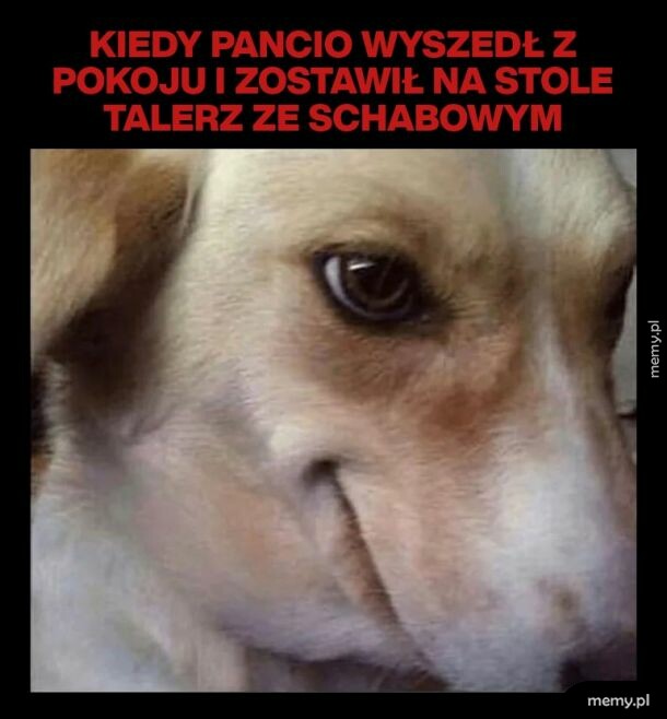 To na pewno dla mnie