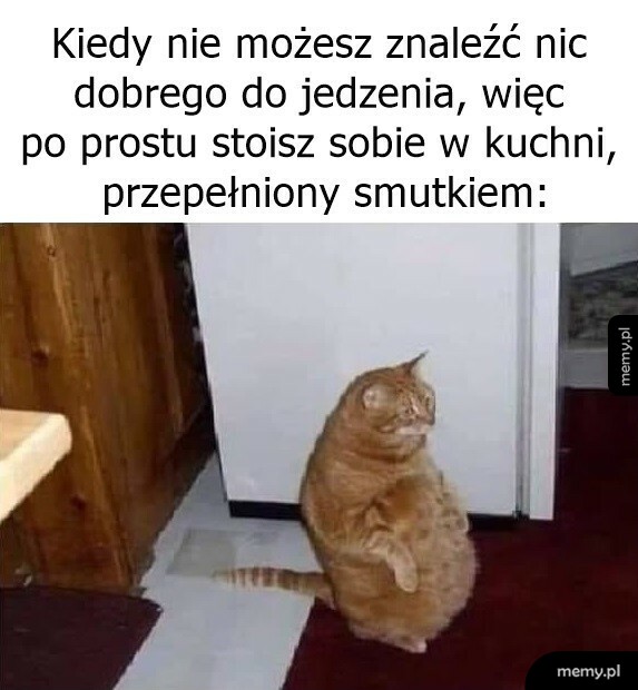 Kiedy nie ma nic dobrego