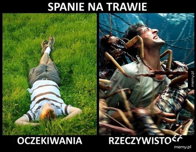 Spanie na trawie