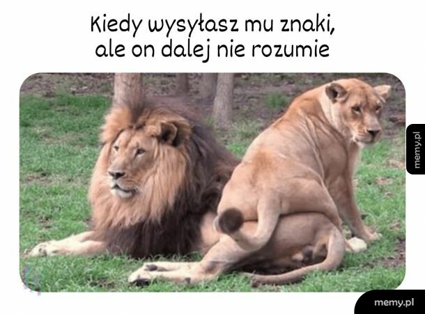 Niedomyślny