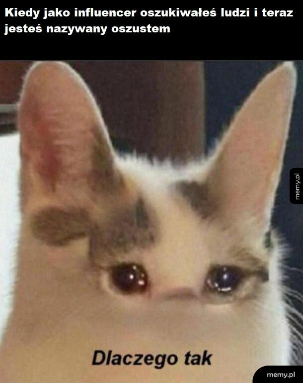 No dlaczego?