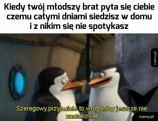 Przyjaciele