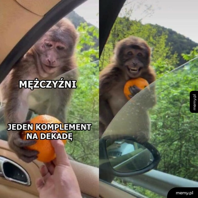 Komplementy