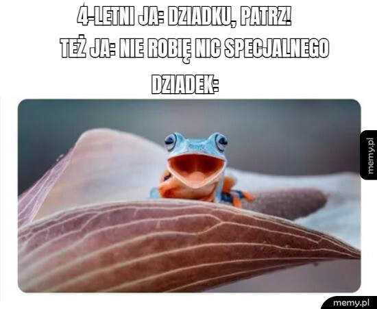 Wspomnienia z dzieciństwa