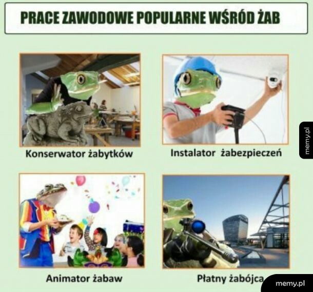 Żabi sucharek