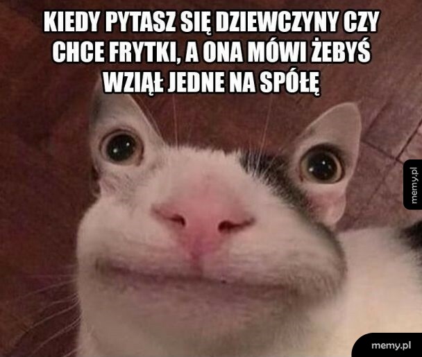 No chyba nie