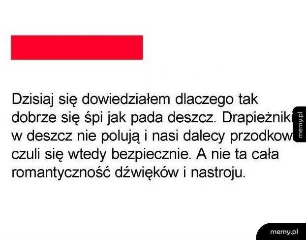Spanie podczas deszczu