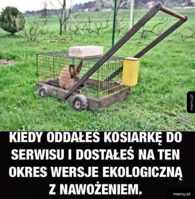 Ekologiczna kosiarka