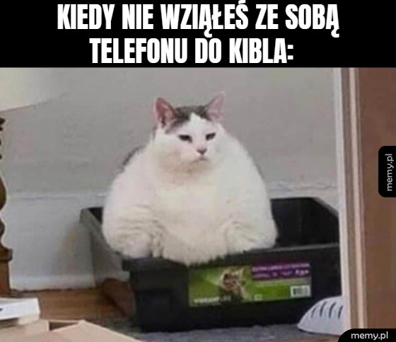 Ale nuda