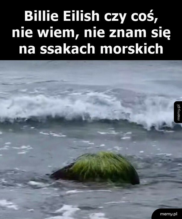 Billie Eilish czy coś