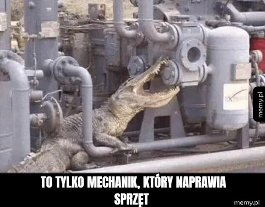 Specjalista od sprzętu