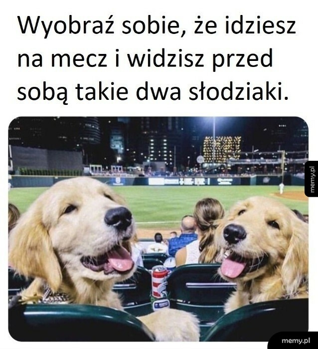 Idealne miejsce