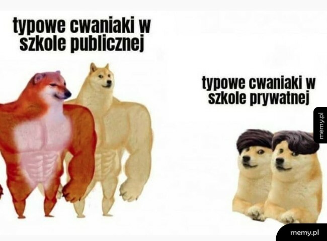 Typowe cwaniaki