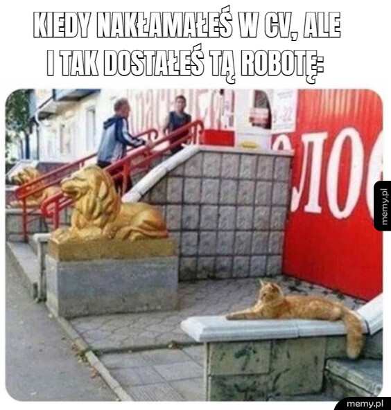 Kiedy nakłamałeś w CV