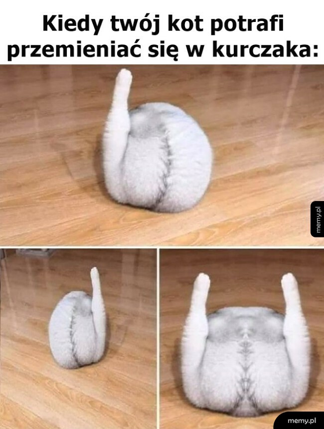 Transformacja