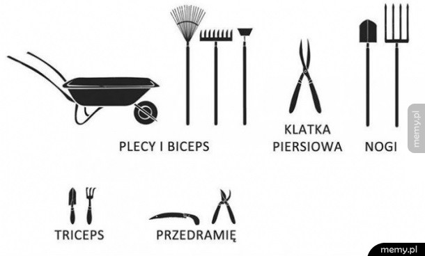 Ćwiczenia w ogródku
